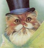 Cat Hatter II